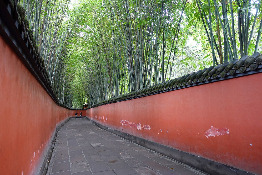 Red-walled corridor with bamboo at Chengdu Wuhou Shrine