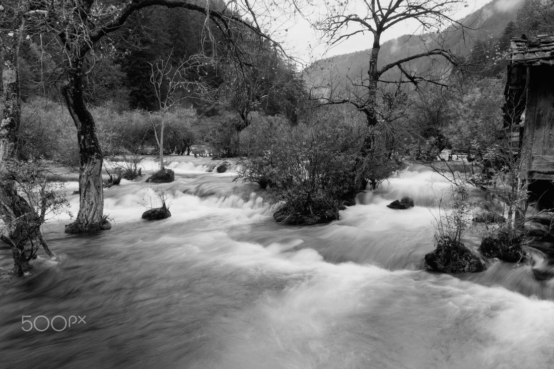 Lake and forest landscape in Jiuzhaigou National Park