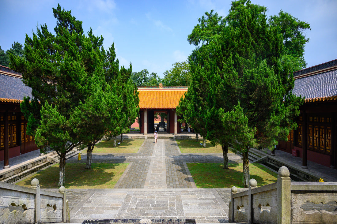 Tree-lined courtyard with tiled roofs and a stone path at Yuelu Academy in Changsha