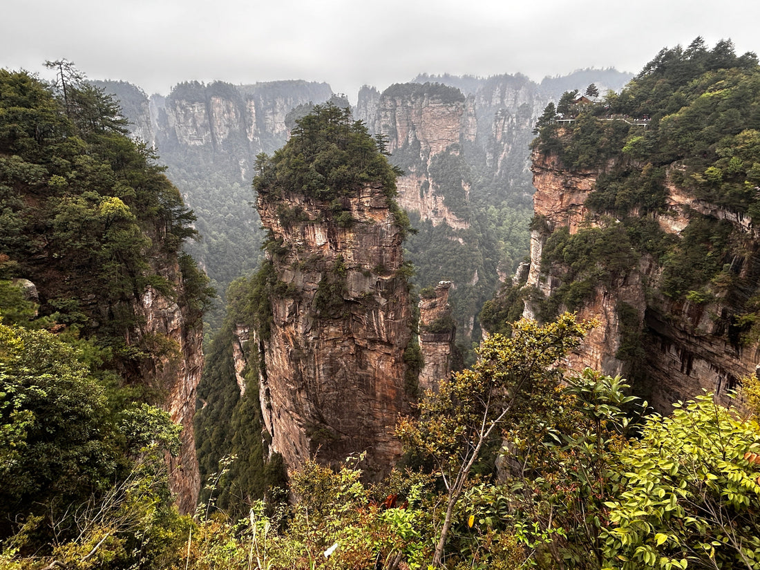 Quartz-sandstone pillars rising above forest in Wulingyuan, Zhangjiajie National Forest Park