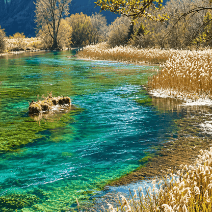 Jiuzhaigou Fairyland Escape