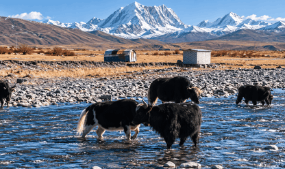 Encountering Western Sichuan - Mini Loop